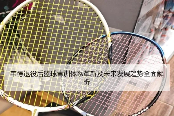 韦德退役后篮球青训体系革新及未来发展趋势全面解析