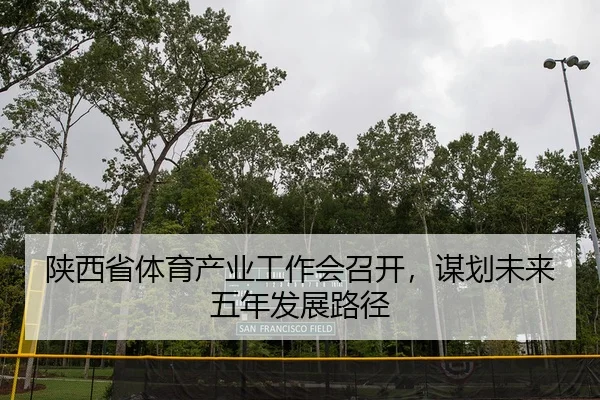 shan-xi-sheng-ti-yu-chan-ye-gong-zuo-hui-zhao-kai-mou-hua-wei-lai-wu-nian-fa-zhan-lu-jing-2-514.jpg